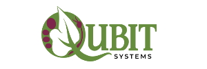 Qubit Systems