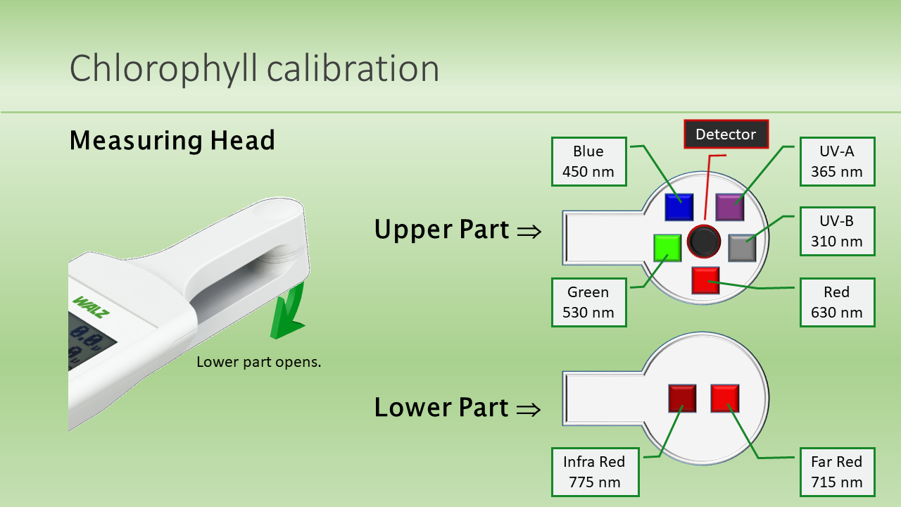 Chlorophyll calibration