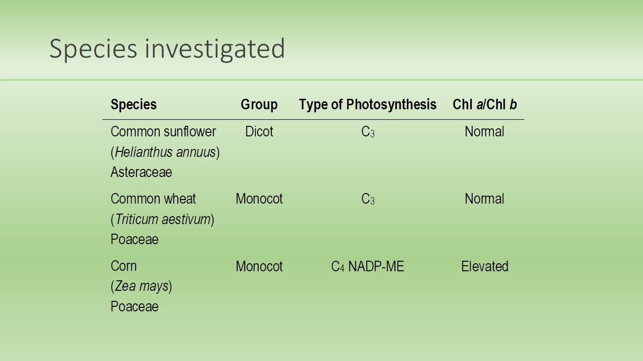 Species investigated