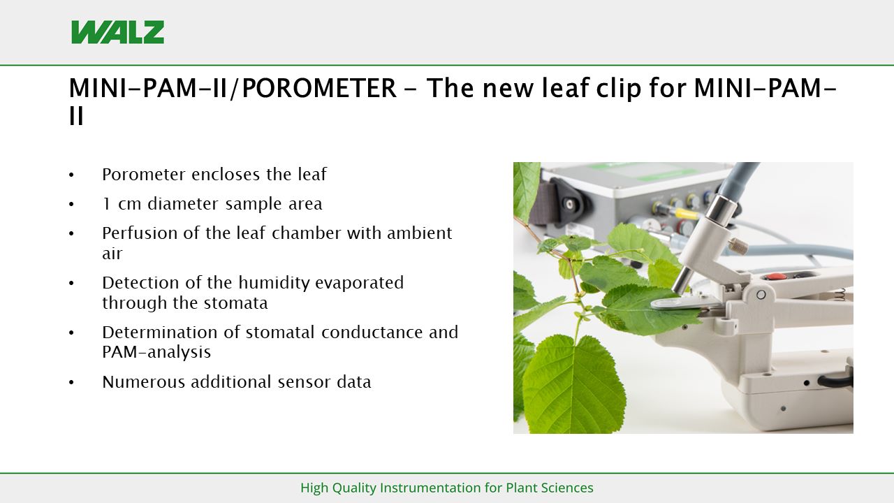 new leaf clip